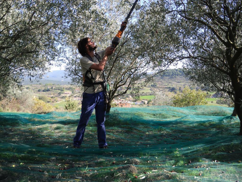 Pontet-Fronzele Agrotourisme Ecologique, Maison D'Hotes & Spa Lagorce  Εξωτερικό φωτογραφία