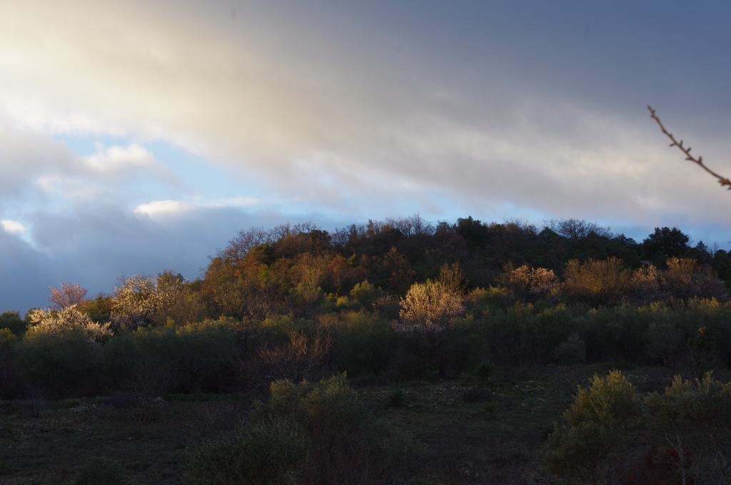 Pontet-Fronzele Agrotourisme Ecologique, Maison D'Hotes & Spa Lagorce  Εξωτερικό φωτογραφία