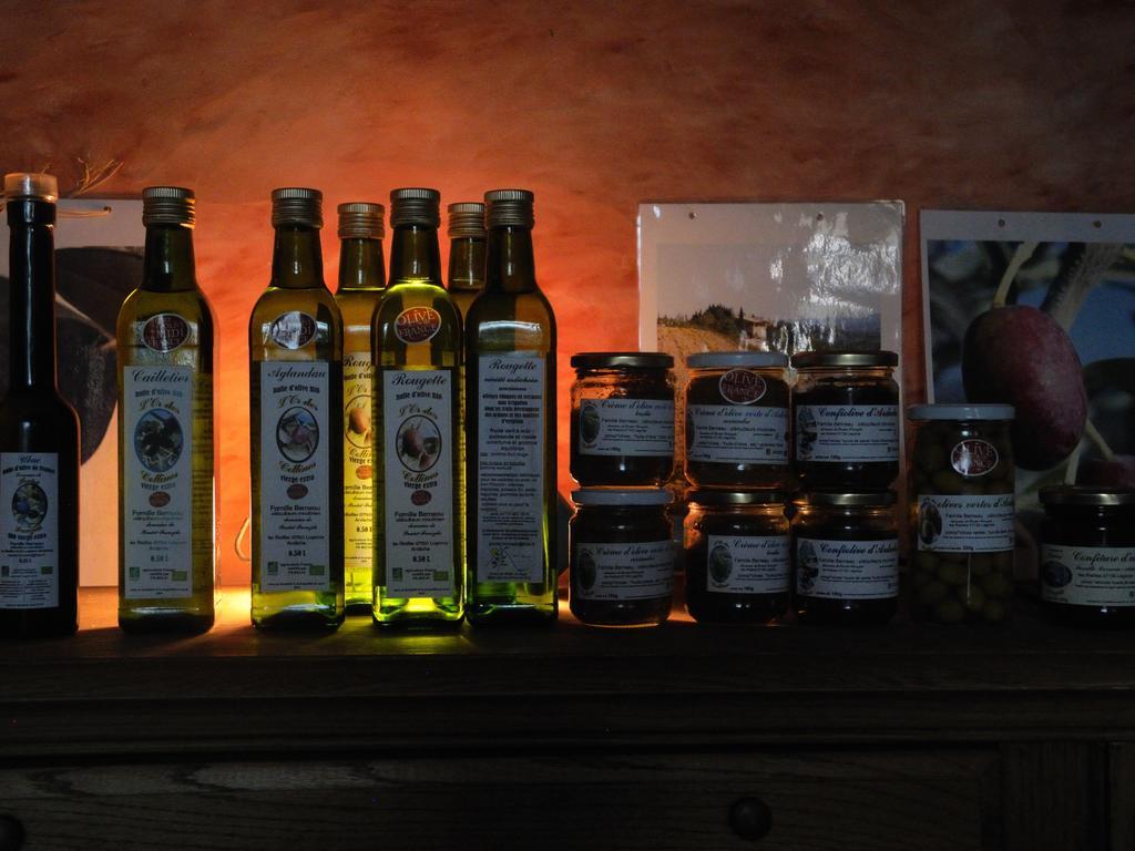 Pontet-Fronzele Agrotourisme Ecologique, Maison D'Hotes & Spa Lagorce  Εξωτερικό φωτογραφία