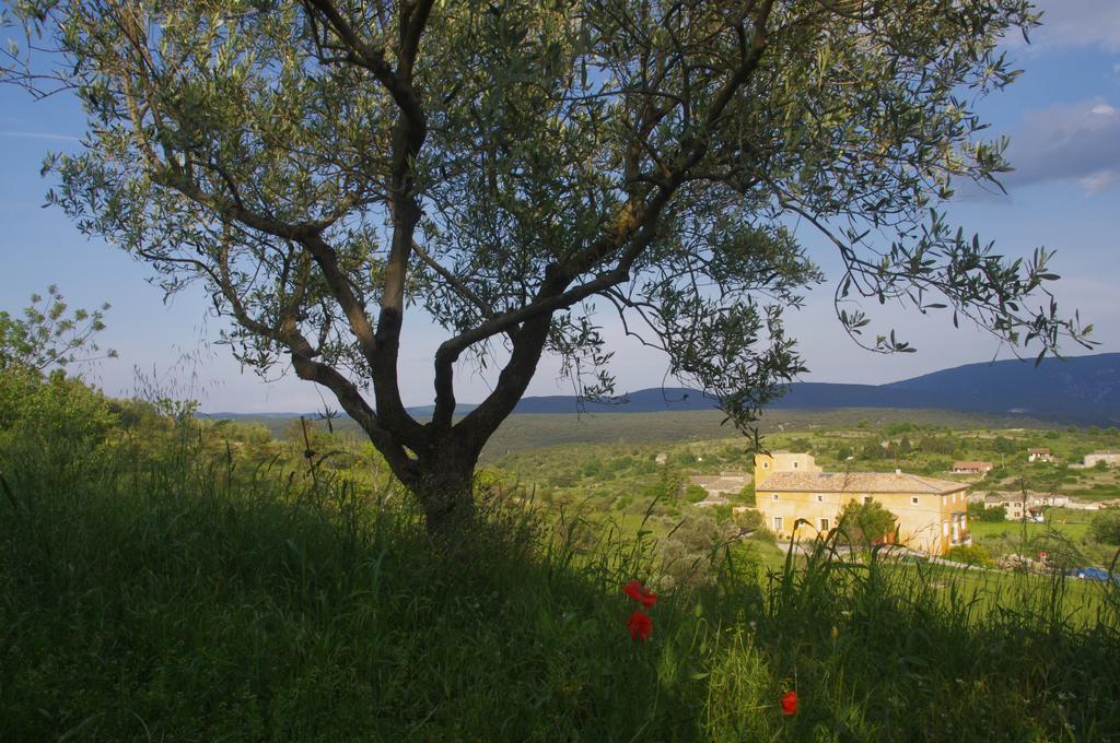 Pontet-Fronzele Agrotourisme Ecologique, Maison D'Hotes & Spa Lagorce  Εξωτερικό φωτογραφία