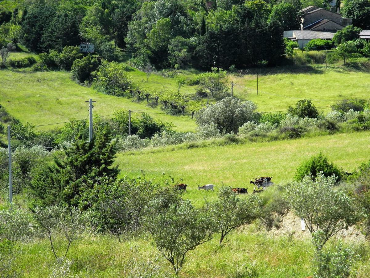 Pontet-Fronzele Agrotourisme Ecologique, Maison D'Hotes & Spa Lagorce  Εξωτερικό φωτογραφία